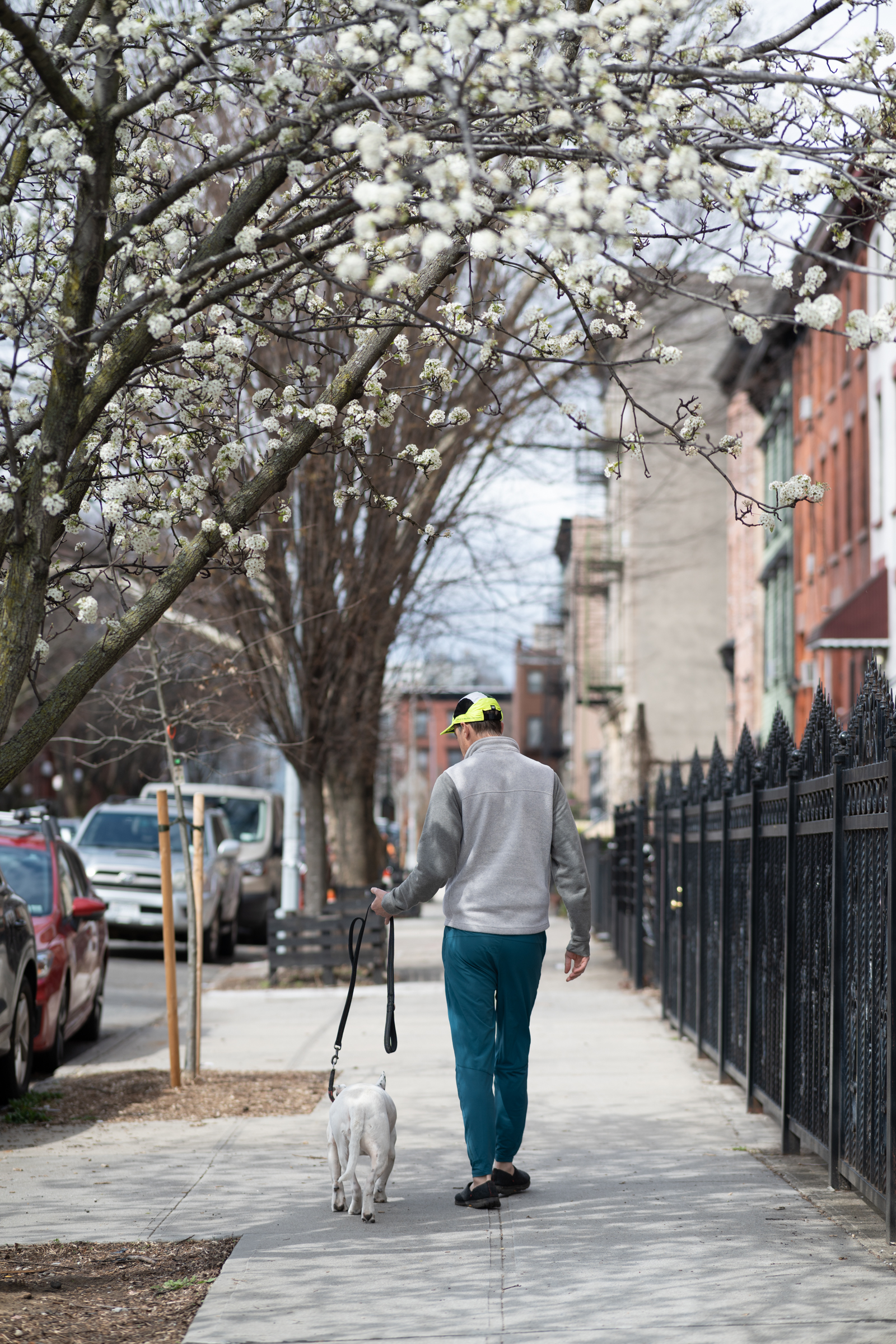 Bed-Stuy, Brooklyn